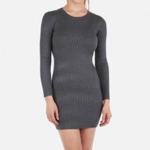 Express Bodycon Sweater Dress